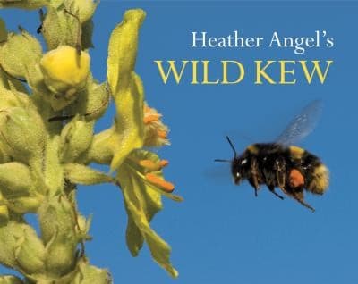 Tapa de Heather Angels Wild Kew