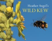 Tapa de Heather Angels Wild Kew