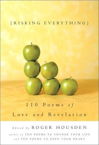 Tapa de Risking Everything