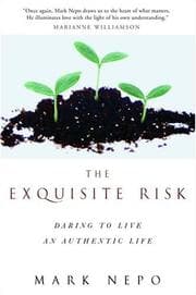 Tapa de The Exquisite Risk