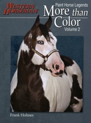 Tapa de More Than Color Volume 2