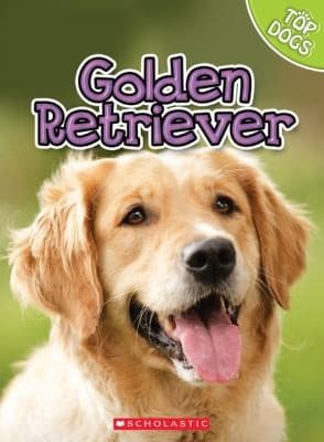 Tapa de Golden Retriever