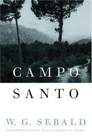 Tapa de Campo Santo