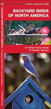 Tapa de Backyard Birds Of North America An Introduction To Familiar Species