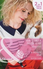 Tapa de How To Melt A Frozen Heart