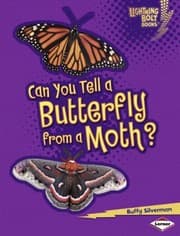 Tapa de Can You Tell A Butterfly From A Moth