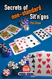 Tapa de Secrets Of Nonstandard Sitngos