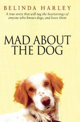 Tapa de Mad About The Dog