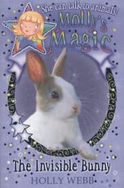 Tapa de The Invisible Rabbit