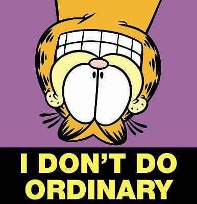 Tapa de I Dont Do Ordinary