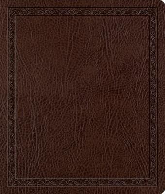 Tapa de Journaling BibleESV