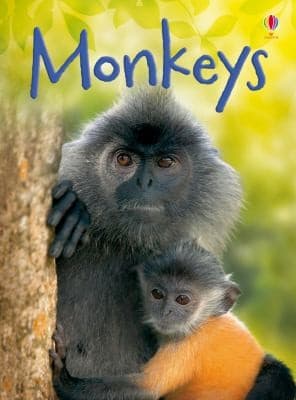 Tapa de Monkeys