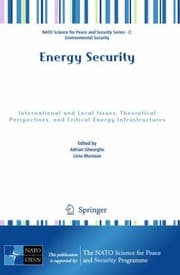 Tapa de Energy Security International And Local Issues Theoretical Perspectives And Critical Energy Infrastructures