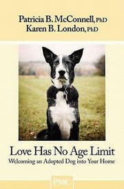 Tapa de Love Has No Age Limit Welcoming An Adopted Dog Into Your Home