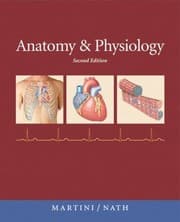 Tapa de Anatomy Physiology With Ip10