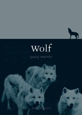 Tapa de Wolf