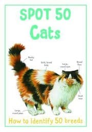 Tapa de Spot 50 Cats