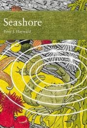 Tapa de Seashore