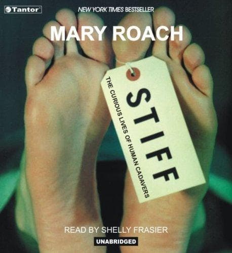 Tapa de Stiff