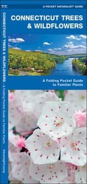 Tapa de Connecticut Trees Wildflowers An Introduction To Familiar Series
