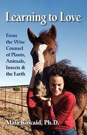Tapa de Learning To Love From The Wise Counsel Of Plants Animals Insects Earth