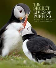 Tapa de The Secret Lives Of Puffins