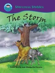 Tapa de The Storm