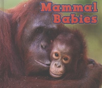 Tapa de Mammal Babies