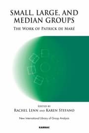Tapa de Small Large And Median Groups The Work Of Patrick De Mar