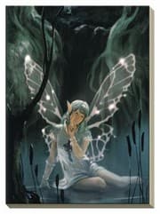 Tapa de Celtic Fairy Journal