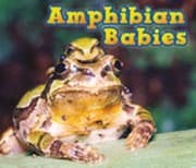 Tapa de Animal Abilities
Raintree Perspectives Animal Abilities