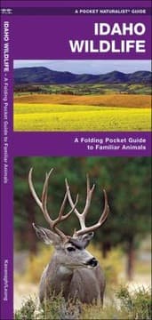 Tapa de Idaho Wildlife An Introduction To Familiar Species