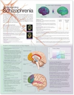 Tapa de Understanding Schizophrenia