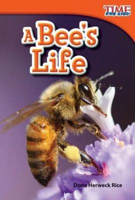 Tapa de A Bees Life