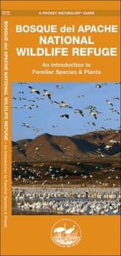 Tapa de Bosque Del Apache National Wildlife Refuge An Introduction To Familiar Species Plants