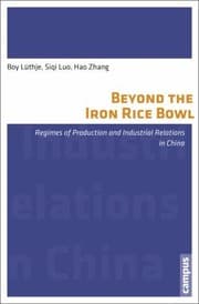 Tapa de Beyond Iron Rice Bowl Regimes Of Production And Industrial Relations In China