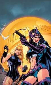 Tapa de Birds of Prey Vol. 4