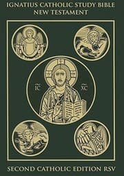 Tapa de The New Testament