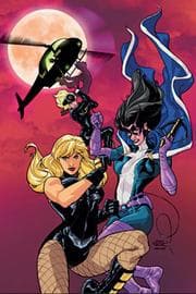 Tapa de Birds of Prey Vol. 5