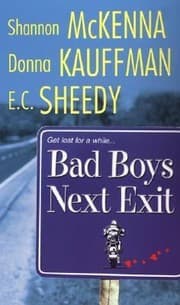 Tapa de Bad Boys Next Exit