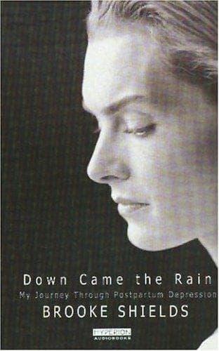 Tapa de Down Came the Rain