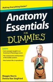 Tapa de Anatomy Essentials For Dummies