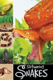 Tapa de Slithering Snakes