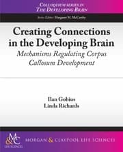 Tapa de Commissural Development And Its Disorders