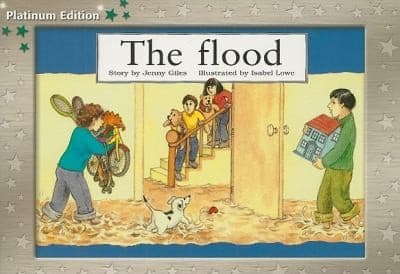 Tapa de The Flood