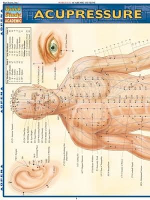 Tapa de Acupressure Laminate Reference Chart
            
                Quickstudy Academic