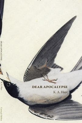 Tapa de Dear Apocalypse