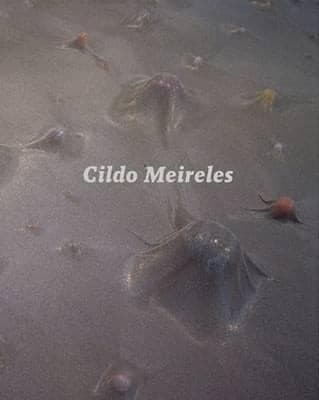 Tapa de Cildo Meireles