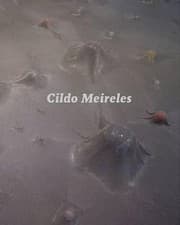 Tapa de Cildo Meireles