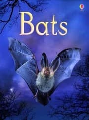 Tapa de Bats